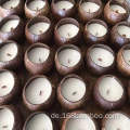 Biologisch abbaubare natürliche Kokoskerzenkernenschalen dekorative Schalen